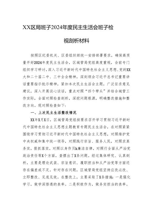 XX区局班子2024年度民主生活会班子检视剖析材料.docx