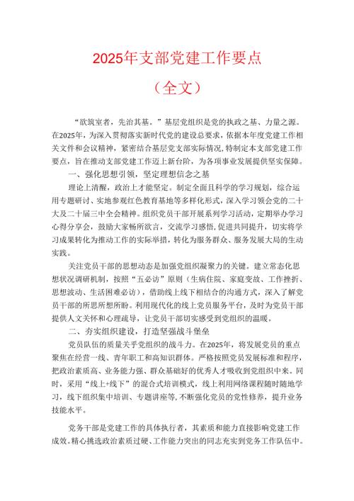 2025 年支部党建工作要点.docx