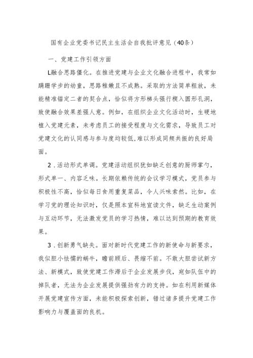 (40条)国有企业党委书记民主生活会自我批评意见.docx
