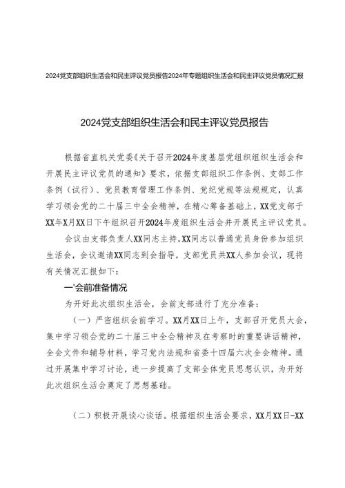 2025年党支部组织生活会和民主评议党员报告.docx