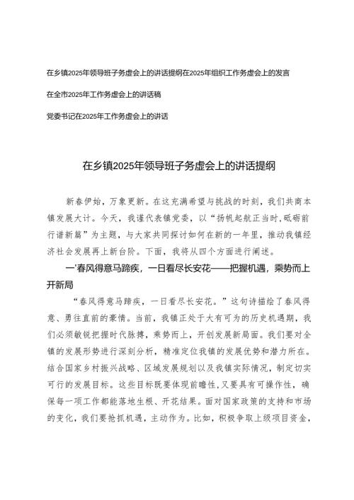 (4篇） 在2025年领导班子务虚会上的讲话提纲.docx
