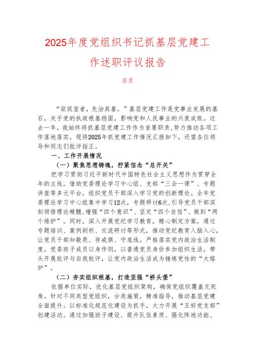 2025年度党组织书记抓基层党建工作述职评议报告.docx