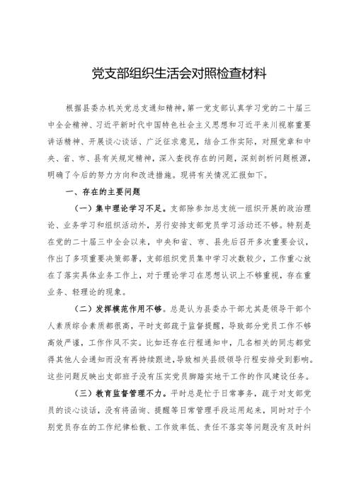 党支部2024年组织生活会对照检查材料.docx