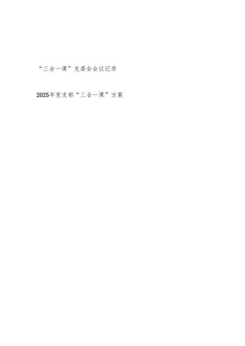 2025年党支部支委会会议记录和“三会一课”方案.docx