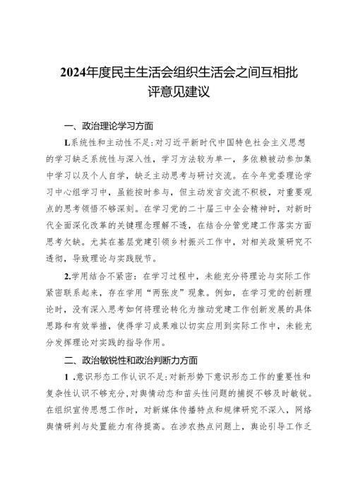 2024年度民主生活会 组织生活会之间互相批评意见建议.docx