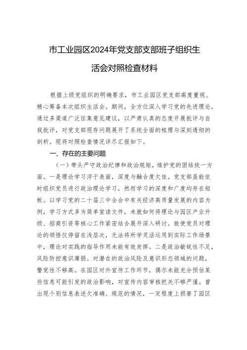 工业园区2024年党支部支部班子组织生活会对照检查发言材料.docx