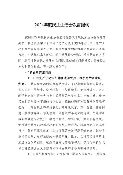 2024年度民主生活会检查发言提纲.docx