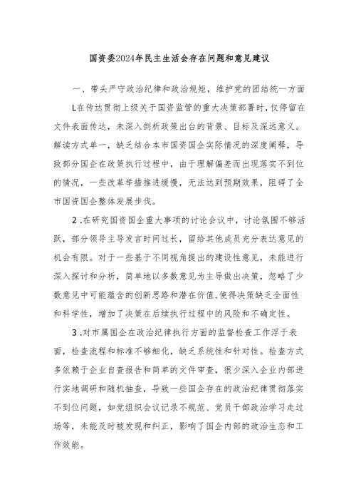 国资委2024年民主生活会存在问题和意见建议.docx