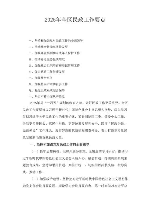 （2025年）全区民政工作要点.docx