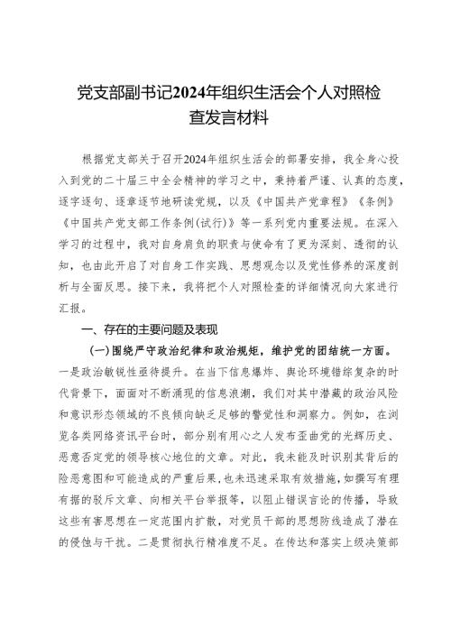 党支部副书记2024年组织生活会个人对照检查发言材料.docx