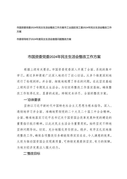 2025年市委领导班子2024年度民主生活会查摆问题整改方案+2024年民主生活会整改工作方案.docx