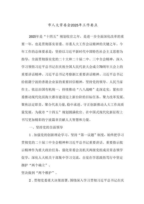 市人大常委会2025年工作要点.docx