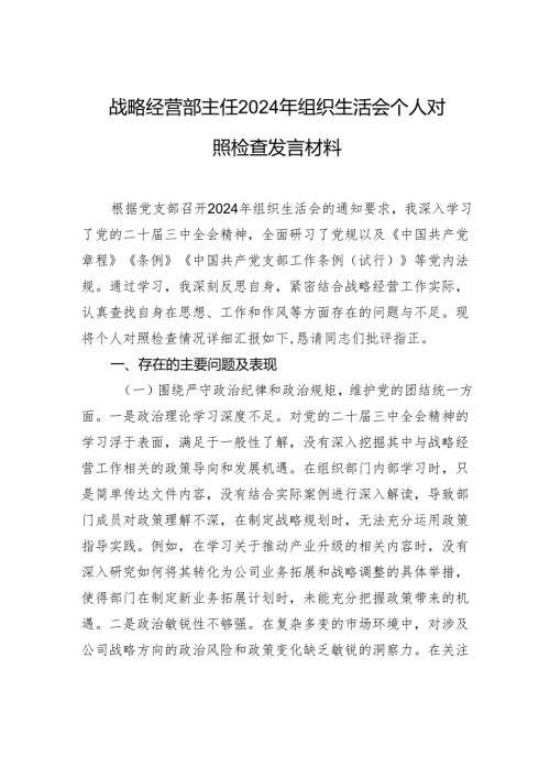 战略经营部主任2024年度组织生活会个人对照检查发言材料.docx