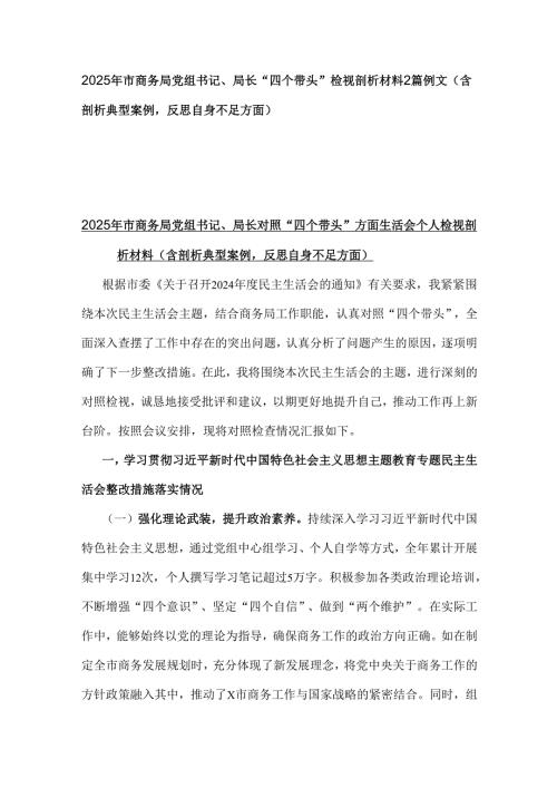 2025年市商务局党组书记、局长“四个带头”检视剖析材料2篇例文（含剖析典型案例反思自身不足方面）.docx