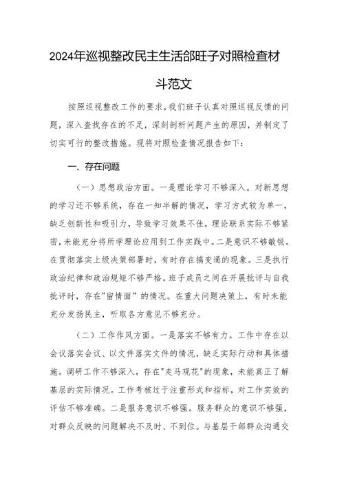 2024年巡视整改民主生活会班子对照检查材料范文.docx