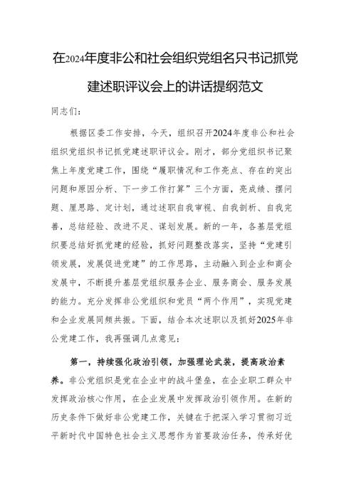 在2024年度非公和社会组织党组织书记抓党建述职评议会上的讲话提纲范文.docx