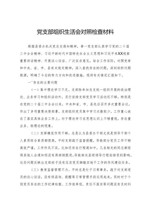 支部对照检查材料.docx