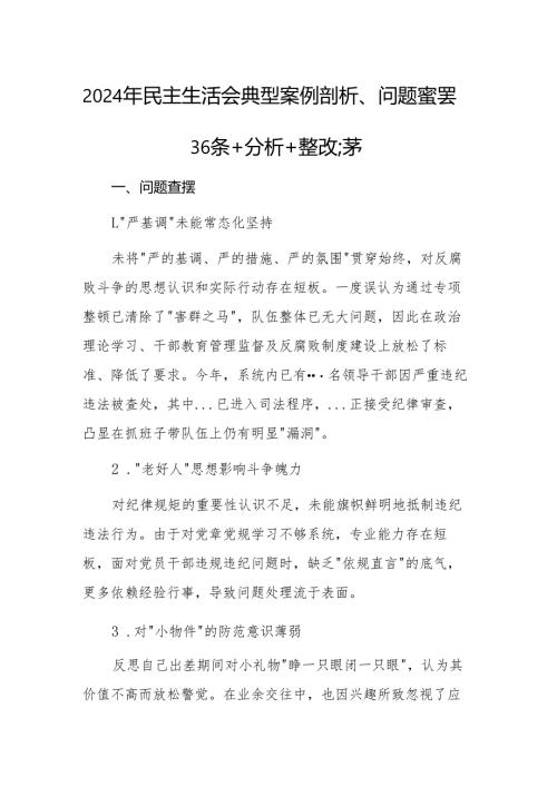 2024年民主生活会典型案例剖析、问题查摆36条+分析+整改汇编.docx