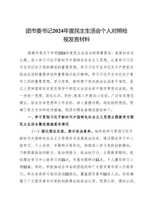 团市委书记2024年度民主生活会个人对照检视发言材料.docx