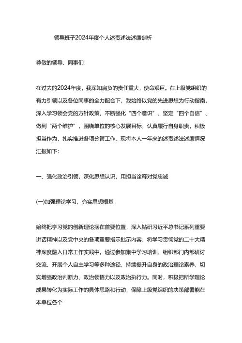 领导班子 2024 年度个人述责述法述廉剖析.docx
