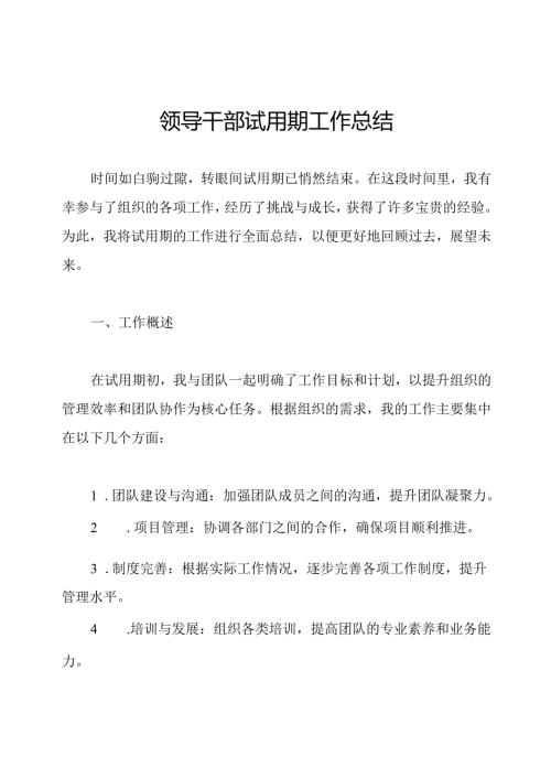 领导干部试用期工作总结.docx