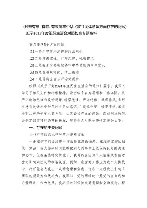（对照有形、有感、有效铸牢中华民族共同体意识方面存在的问题）班子2025年度组织生活会对照检查专题资料.docx