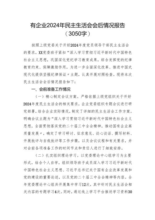 （会后）国企2024年民主生活会会后情况报告（3050字）.docx