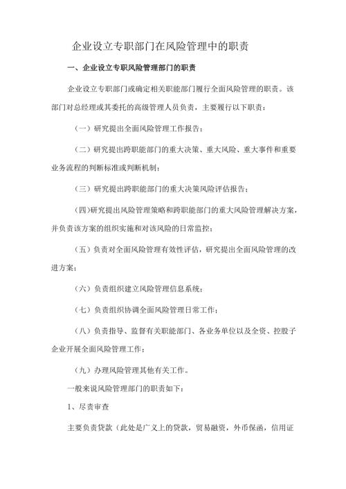企业设立专职部门在风险管理中的职责.docx