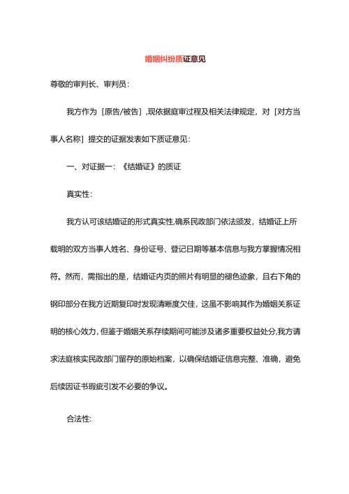 婚姻纠纷质证意见.docx