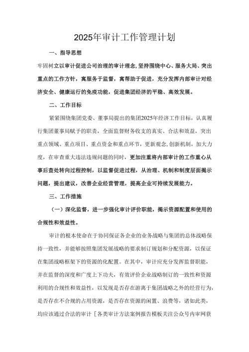 2025年审计工作管理计划.docx