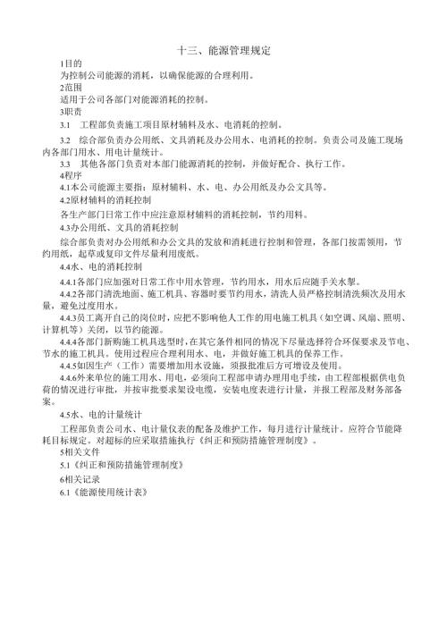 13能源管理规定.docx
