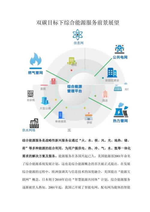 双碳目标下综合能源服务前景展望.docx