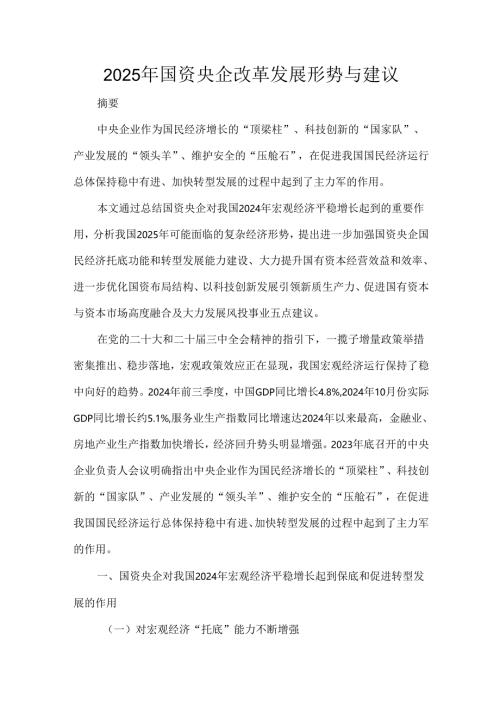 2025年国资央企改革发展形势与建议.docx