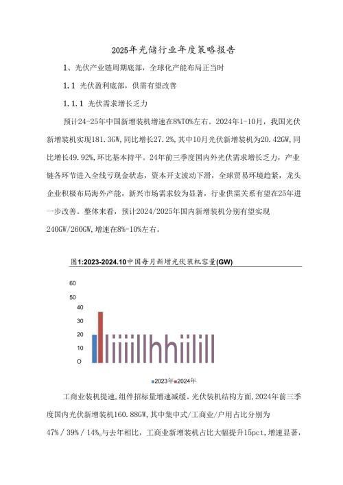 2025年光储行业年度策略报告.docx