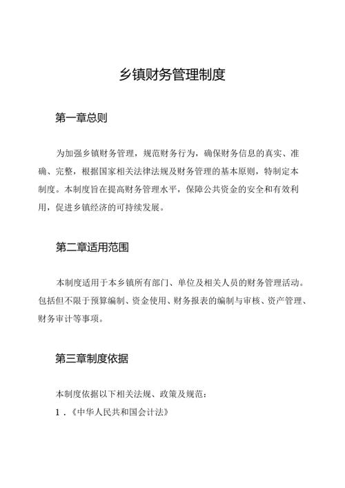 乡镇财务管理制度.docx
