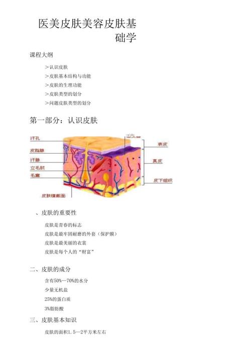 医美皮肤美容皮肤基础知识课件.docx