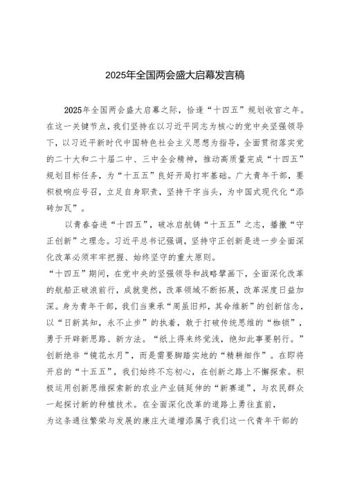 3篇 2025年全国两会盛大启幕发言稿心得.docx