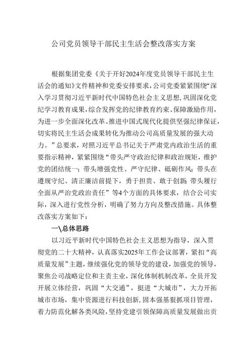 2024-2025年度公司党员领导干部民主生活会整改落实方案.docx
