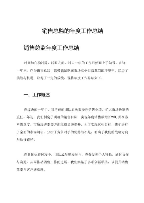 销售总监的年度工作总结.docx