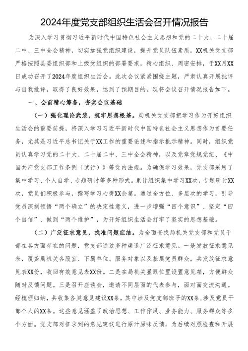 2024年度党支部组织生活会召开情况报告.docx