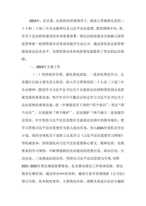 2024年度述法工作报告范文.docx