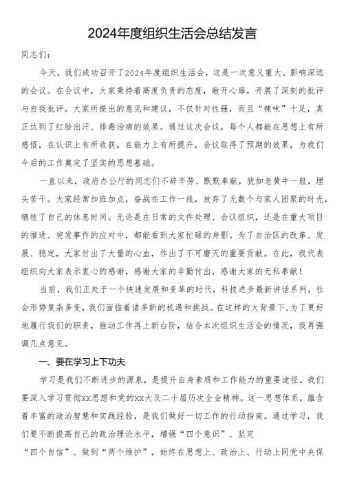 2024年度组织生活会总结发言.docx
