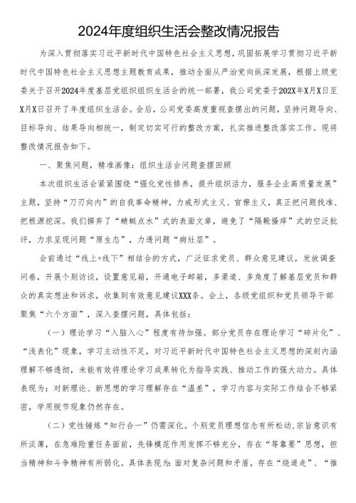2024年度组织生活会整改情况报告.docx