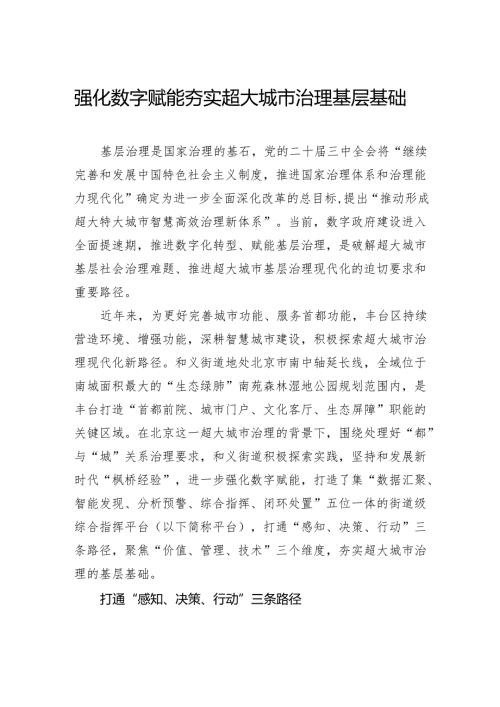 强化数字赋能夯实超大城市治理基层基础.docx