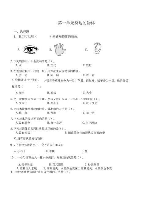 （2025春新版本）教科版一年级下册科学试卷.docx