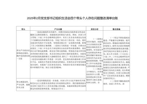3份 2025年2月 党支部书记组织生活会四个带头个人存在问题整改清单台账（带头在遵规守纪、清正廉洁前提下勇于担责、敢于创新方面；带头履行全.docx