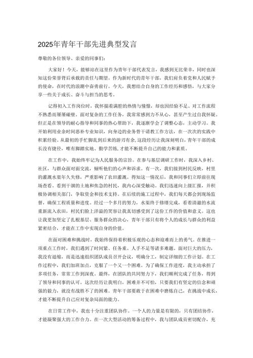 2025年青年干部先进典型发言.docx