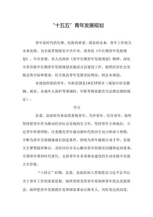 “十五五”青年发展规划.docx