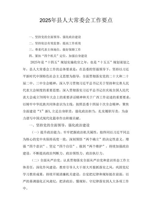 2025年县人大常委会工作要点.docx