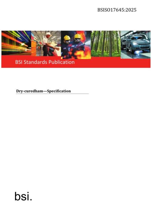 BS ISO 17645 2025.docx